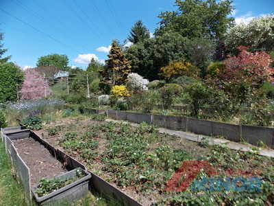 DSCN2794.JPG
