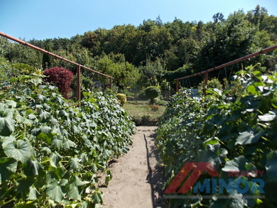 DSCN9344.JPG